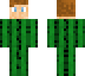 cactus (cuctas v1)