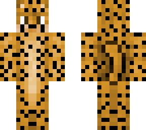 cheetah