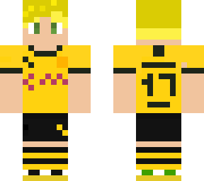 haland borussia dortmund
