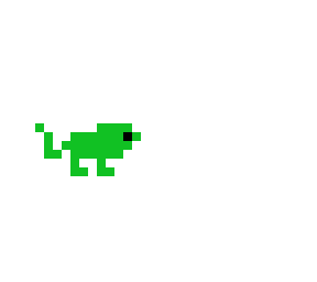 lizard
