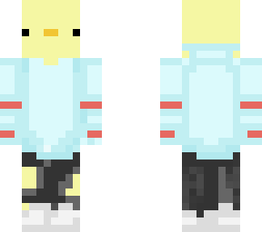 swqag duck