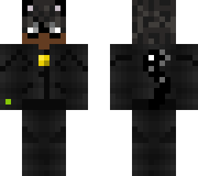 black chat noir