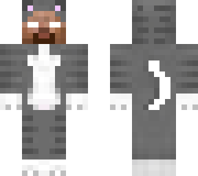 cat herobrine