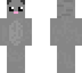 cute cat