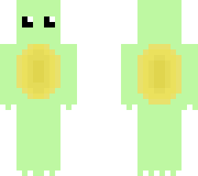cute tortoise