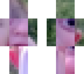 kidooooooooooooooooooooooooo