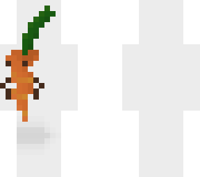 mr. carrot