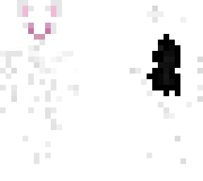 white cat
