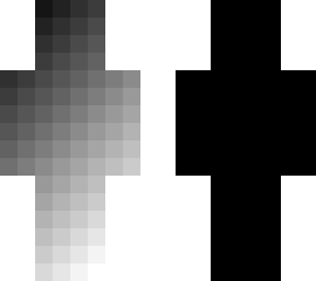 monochrome illusion v.3