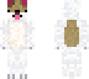 parson russell terrier