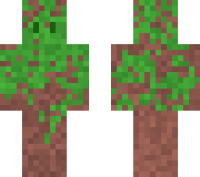 vine