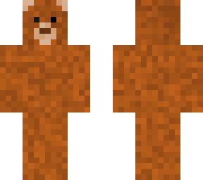 copper the teddy bear