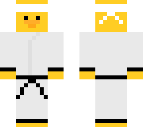 kung fu duck