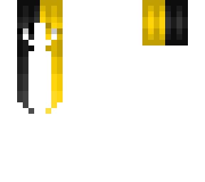 hb - thin straight hair - half black & half yellow