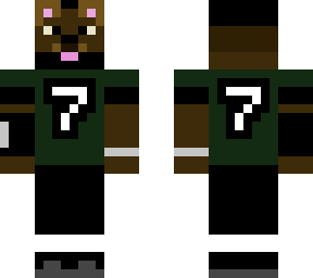 michael vick