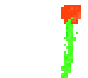 the flower of beuty