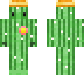happy cactus
