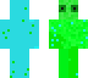 teleporter skin