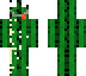 sandy cacti