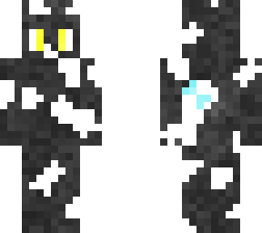 black and white cat