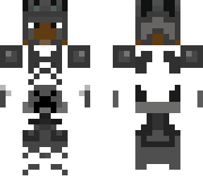 invisible knight with my head