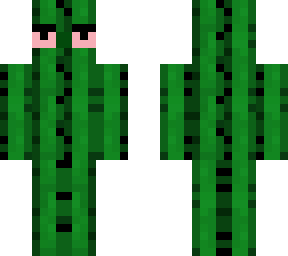 cactus boi