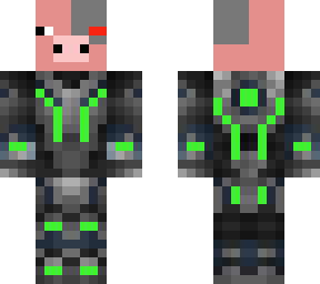 cyber pig