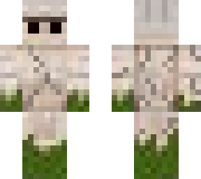 golem 1337