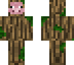 tree pig for the man