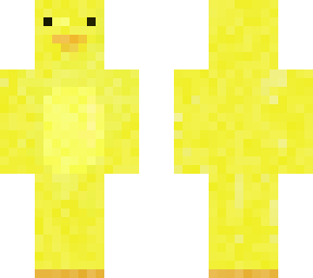 noodle the duck