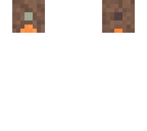 robin bird (update)