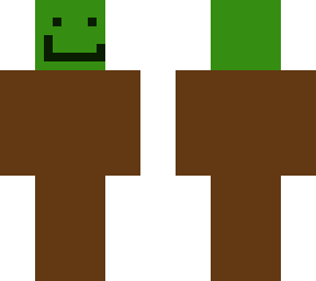 skin for my brother