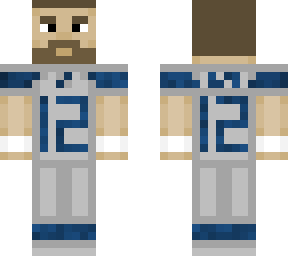 seahawks skin (grey)