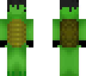 turtle