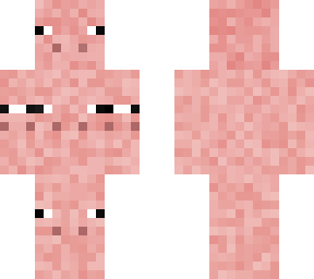 mother pig