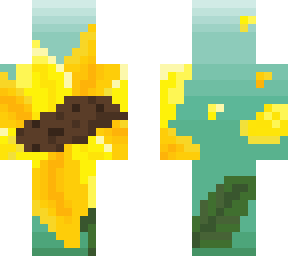 the beautiful flower
