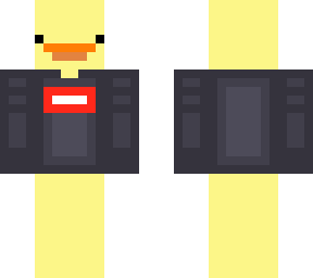 a duck
