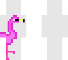 andean flamingo