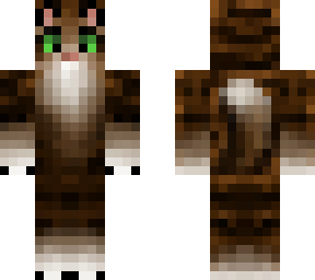 dark brown tabby cat