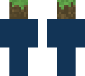 grass block head
