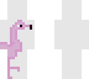 greater flamingo