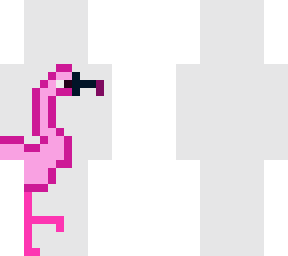 lesser flamingo