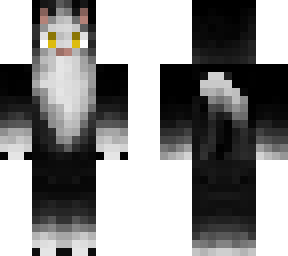 oreo (one of my cats)