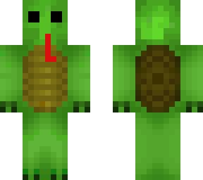 turtle straw