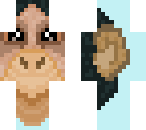 monkey (rainforest)