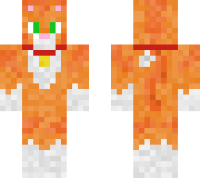 orange cat with collar