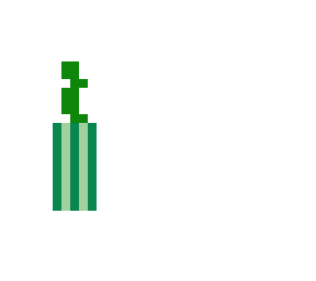 sea pickle