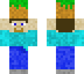 steve with grass block