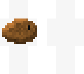 the potato (ps..read the description)