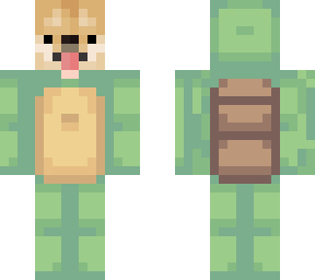 doge turtle